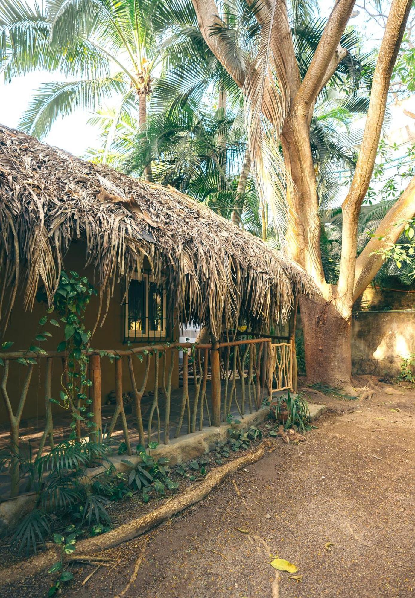 Junto Al Rio Bungalows & Suites Sayulita Dış mekan fotoğraf