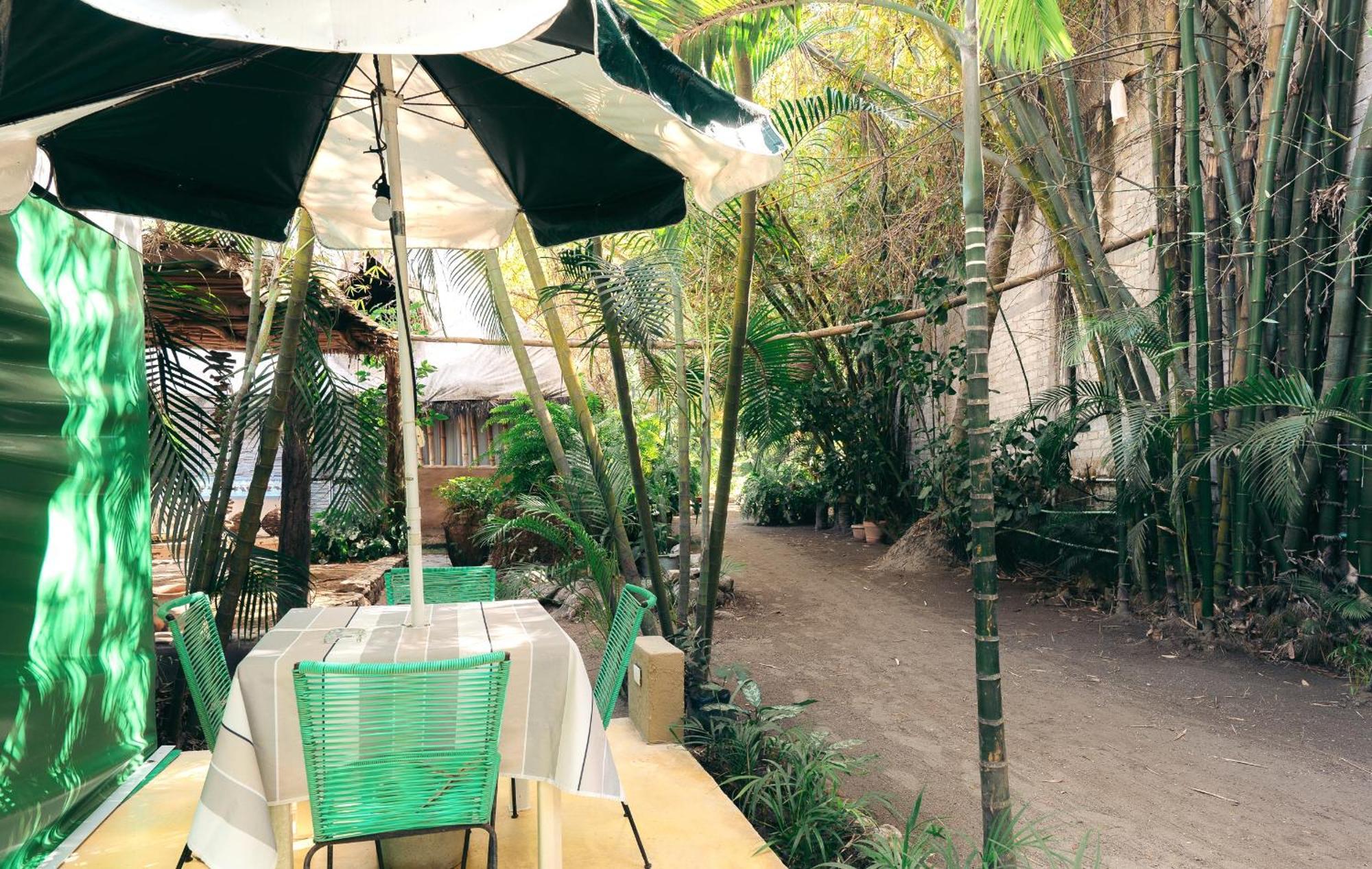 Junto Al Rio Bungalows & Suites Sayulita Dış mekan fotoğraf