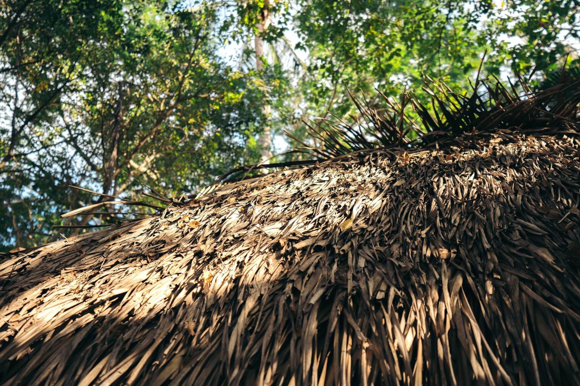 Junto Al Rio Bungalows & Suites Sayulita Dış mekan fotoğraf