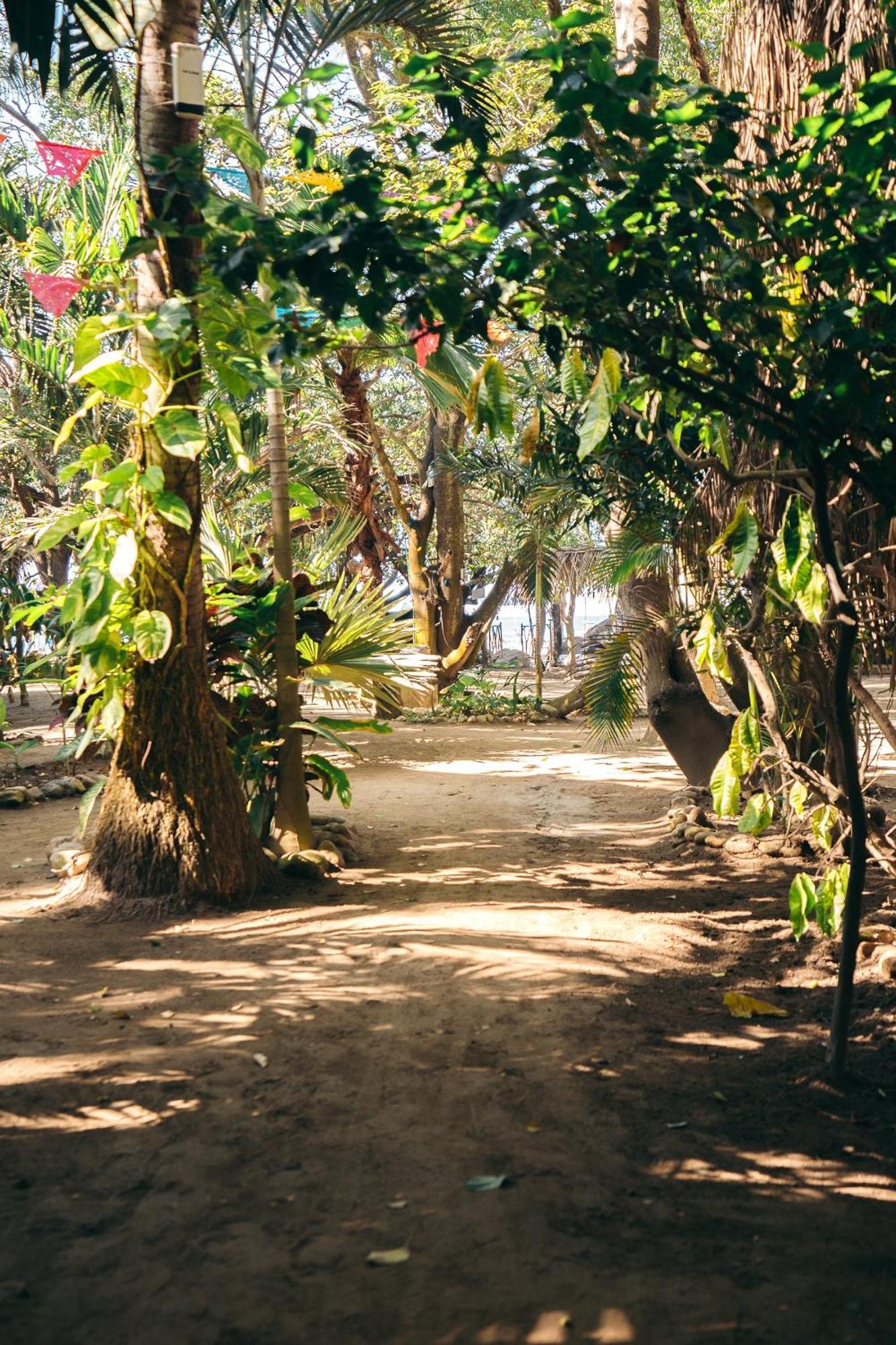 Junto Al Rio Bungalows & Suites Sayulita Dış mekan fotoğraf
